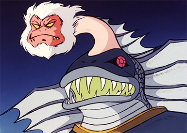 Immagine Generale Angoras 7