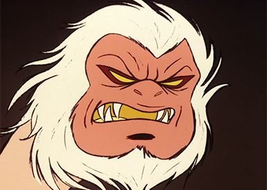 Immagine Generale Angoras 8