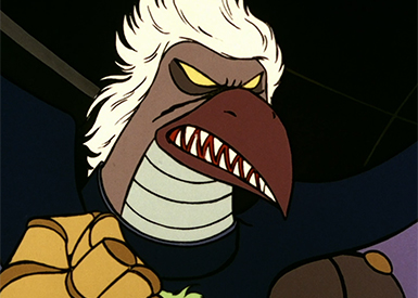 Immagine Generale Birdler 7