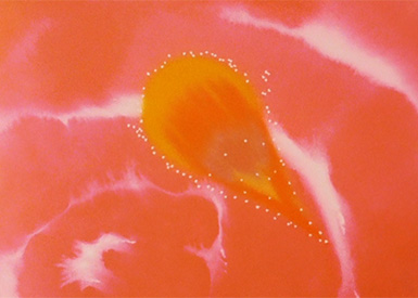 Immagine Charlie + Astroganga 11